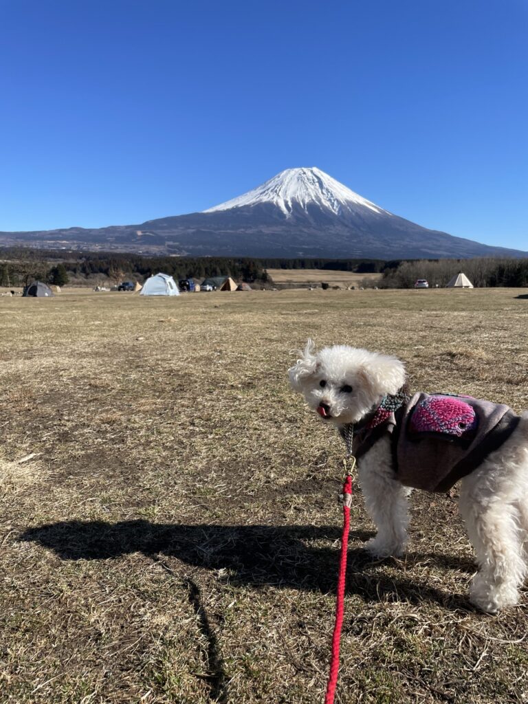 犬連れでふもとっぱらキャンプ場