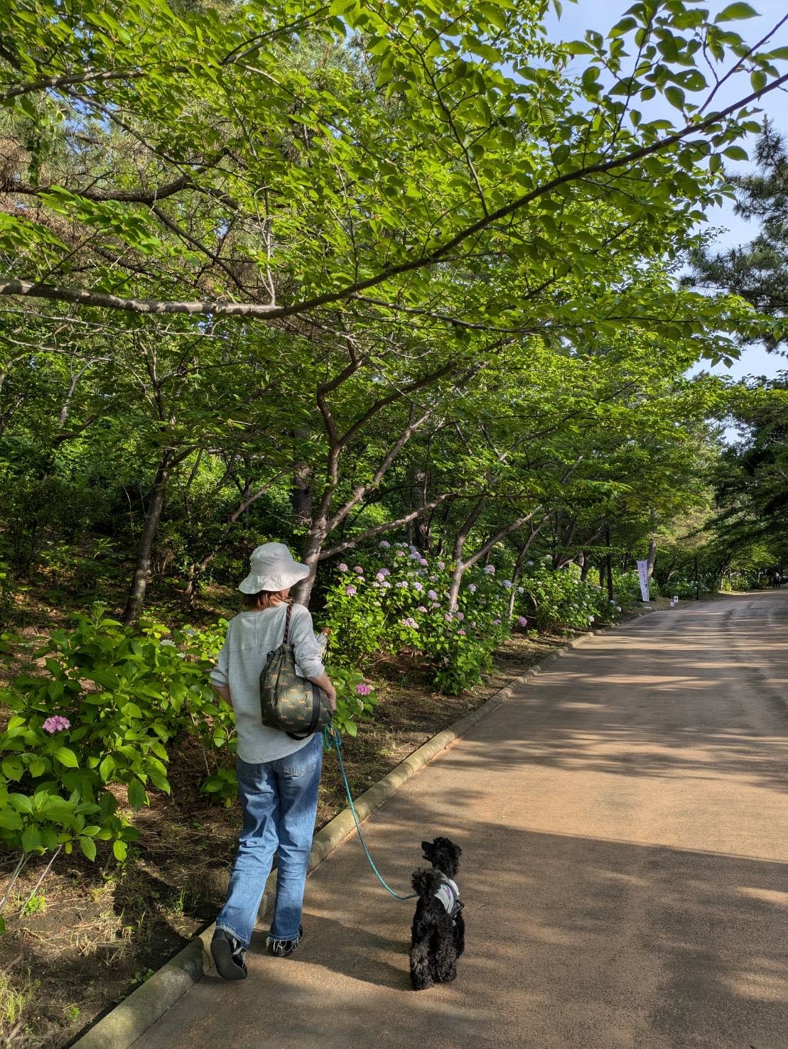 園内の遊歩道